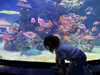 <h4>'IMG_2614.jpg' 1999 x 1500 | iPhone 16 Pro | 2025-05-31 11:50:53</h4>