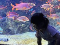 <h4>'IMG_2615.jpg' 2000 x 1500 | iPhone 16 Pro | 2025-05-31 11:50:56</h4>