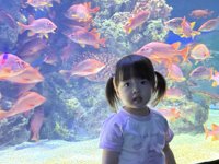 <h4>'IMG_2616.jpg' 2000 x 1500 | iPhone 16 Pro | 2025-05-31 11:51:00</h4>