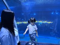 <h4>'IMG_2622.jpg' 1999 x 1500 | iPhone 16 Pro | 2025-05-31 12:04:10</h4>