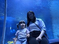 <h4>'IMG_2625.jpg' 1999 x 1500 | iPhone 16 Pro | 2025-05-31 12:04:44</h4>