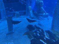 <h4>'IMG_2626.jpg' 1999 x 1500 | iPhone 16 Pro | 2025-05-31 12:05:25</h4>