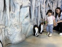 <h4>'IMG_2627.jpg' 1999 x 1500 | iPhone 16 Pro | 2025-05-31 12:07:03</h4>