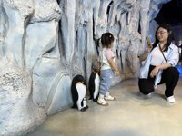 <h4>'IMG_2628.jpg' 1999 x 1500 | iPhone 16 Pro | 2025-05-31 12:07:08</h4>