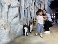 <h4>'IMG_2629.jpg' 1999 x 1500 | iPhone 16 Pro | 2025-05-31 12:07:10</h4>