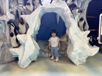 <h4>'IMG_2630.jpg' 1999 x 1500 | iPhone 16 Pro | 2025-05-31 12:07:59</h4>