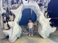 <h4>'IMG_2631.jpg' 1999 x 1500 | iPhone 16 Pro | 2025-05-31 12:08:04</h4>