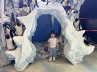 <h4>'IMG_2632.jpg' 1999 x 1500 | iPhone 16 Pro | 2025-05-31 12:08:08</h4>