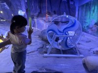 <h4>'IMG_2633.jpg' 1999 x 1500 | iPhone 16 Pro | 2025-05-31 12:10:16</h4>