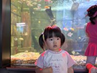 <h4>'IMG_E2602.jpg' 2000 x 1500 | iPhone 16 Pro | 2025-05-31 11:41:45</h4>