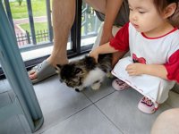 <h4>'IMG_20250608_182649.jpg' 2000 x 1500 | HUAWEI P60 | 2025-06-08 18:26:49</h4>