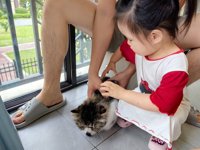 <h4>'IMG_20250608_182650.jpg' 2000 x 1500 | HUAWEI P60 | 2025-06-08 18:26:50</h4>