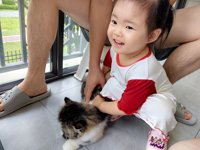 <h4>'IMG_20250608_182653.jpg' 2000 x 1500 | HUAWEI P60 | 2025-06-08 18:26:53</h4>