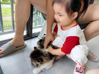 <h4>'IMG_20250608_182655.jpg' 2000 x 1500 | HUAWEI P60 | 2025-06-08 18:26:55</h4>