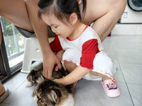 <h4>'IMG_20250608_182703.jpg' 2000 x 1500 | HUAWEI P60 | 2025-06-08 18:27:03</h4>