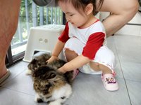 <h4>'IMG_20250608_182707.jpg' 2000 x 1500 | HUAWEI P60 | 2025-06-08 18:27:07</h4>