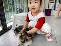 <h4>'IMG_20250608_182708.jpg' 2000 x 1500 | HUAWEI P60 | 2025-06-08 18:27:08</h4>