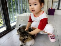 <h4>'IMG_20250608_182709_1.jpg' 2000 x 1500 | HUAWEI P60 | 2025-06-08 18:27:09</h4>