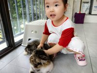 <h4>'IMG_20250608_182709.jpg' 2000 x 1500 | HUAWEI P60 | 2025-06-08 18:27:09</h4>