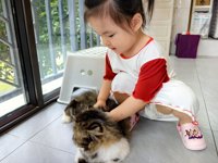 <h4>'IMG_20250608_182710.jpg' 2000 x 1500 | HUAWEI P60 | 2025-06-08 18:27:10</h4>