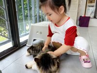 <h4>'IMG_20250608_182711.jpg' 2000 x 1500 | HUAWEI P60 | 2025-06-08 18:27:11</h4>