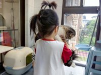 <h4>'IMG_20250608_182730_1.jpg' 2000 x 1500 | HUAWEI P60 | 2025-06-08 18:27:30</h4>