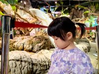 <h4>'IMG_20250621_110441.jpg' 2000 x 1500 | HUAWEI P60 | 2025-06-21 11:04:41</h4>