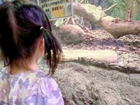 <h4>'IMG_20250621_110600.jpg' 2000 x 1500 | HUAWEI P60 | 2025-06-21 11:06:00</h4>