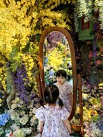 <h4>'IMG_20250621_110909.jpg' 1500 x 2000 | HUAWEI P60 | 2025-06-21 11:09:09</h4>