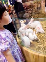 <h4>'IMG_20250621_111059.jpg' 1500 x 2000 | HUAWEI P60 | 2025-06-21 11:10:59</h4>