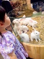 <h4>'IMG_20250621_111101.jpg' 1500 x 2000 | HUAWEI P60 | 2025-06-21 11:11:01</h4>