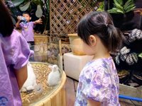 <h4>'IMG_20250621_111234.jpg' 2000 x 1500 | HUAWEI P60 | 2025-06-21 11:12:34</h4>