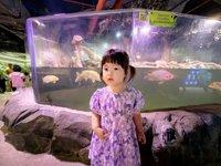 <h4>'IMG_20250621_111328.jpg' 2000 x 1500 | HUAWEI P60 | 2025-06-21 11:13:28</h4>