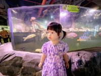 <h4>'IMG_20250621_111330.jpg' 2000 x 1500 | HUAWEI P60 | 2025-06-21 11:13:30</h4>