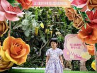 <h4>'IMG_20250621_111641.jpg' 2000 x 1500 | HUAWEI P60 | 2025-06-21 11:16:41</h4>