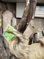 <h4>'IMG_20250621_111948.jpg' 1500 x 2000 | HUAWEI P60 | 2025-06-21 11:19:48</h4>