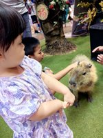 <h4>'IMG_20250621_112535.jpg' 1500 x 2000 | HUAWEI P60 | 2025-06-21 11:25:35</h4>