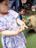 <h4>'IMG_20250621_112538.jpg' 1500 x 2000 | HUAWEI P60 | 2025-06-21 11:25:38</h4>