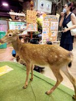 <h4>'IMG_20250621_112652.jpg' 1500 x 2000 | HUAWEI P60 | 2025-06-21 11:26:52</h4>