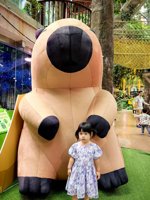 <h4>'IMG_20250621_112753.jpg' 1500 x 2000 | HUAWEI P60 | 2025-06-21 11:27:53</h4>