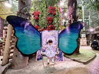 <h4>'IMG_20250621_113629.jpg' 2000 x 1500 | HUAWEI P60 | 2025-06-21 11:36:29</h4>