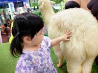 <h4>'IMG_20250621_113748.jpg' 2000 x 1500 | HUAWEI P60 | 2025-06-21 11:37:48</h4>