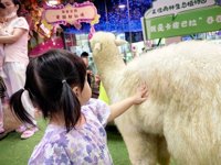 <h4>'IMG_20250621_113755.jpg' 2000 x 1500 | HUAWEI P60 | 2025-06-21 11:37:55</h4>