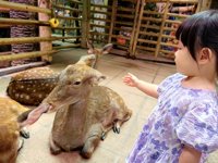 <h4>'IMG_20250621_113911.jpg' 2000 x 1500 | HUAWEI P60 | 2025-06-21 11:39:11</h4>