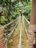 <h4>'IMG_20250621_114053.jpg' 1500 x 2000 | HUAWEI P60 | 2025-06-21 11:40:53</h4>