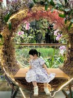 <h4>'IMG_20250621_114417.jpg' 1500 x 2000 | HUAWEI P60 | 2025-06-21 11:44:17</h4>