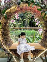 <h4>'IMG_20250621_114421.jpg' 1500 x 2000 | HUAWEI P60 | 2025-06-21 11:44:21</h4>