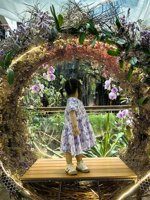 <h4>'IMG_20250621_114437.jpg' 1500 x 2000 | HUAWEI P60 | 2025-06-21 11:44:37</h4>