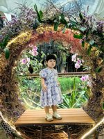 <h4>'IMG_20250621_114440.jpg' 1500 x 2000 | HUAWEI P60 | 2025-06-21 11:44:40</h4>