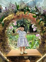 <h4>'IMG_20250621_114442.jpg' 1500 x 2000 | HUAWEI P60 | 2025-06-21 11:44:42</h4>